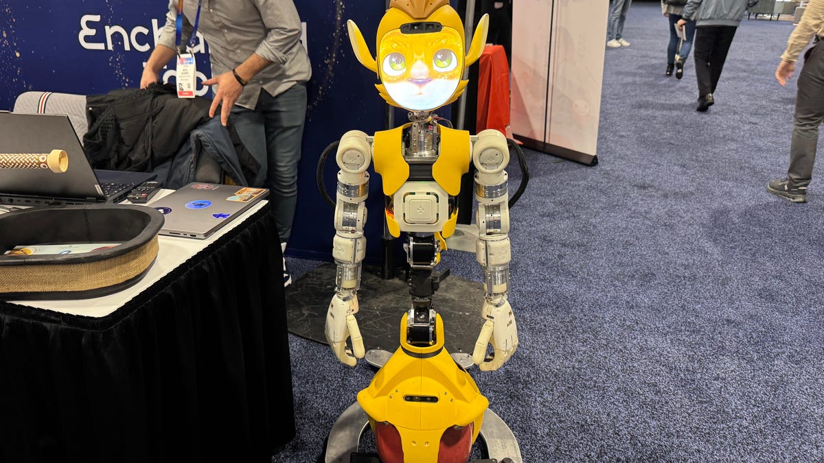 The Wildest CES 2025 Robots: Blade-Wielding Lawnmowers, Lamp With Legs and More